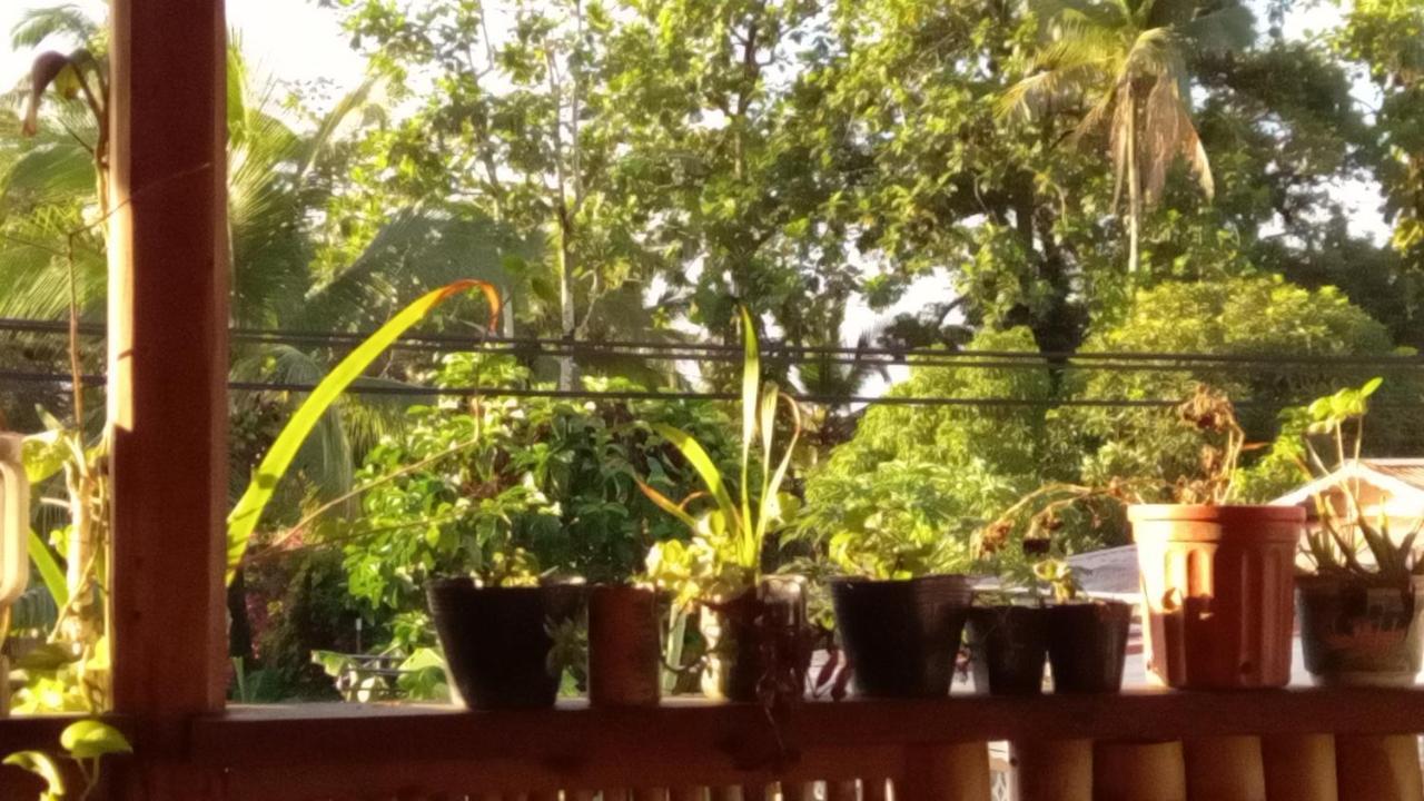 Casa Lumiere Apartman Bocas Town Kültér fotó
