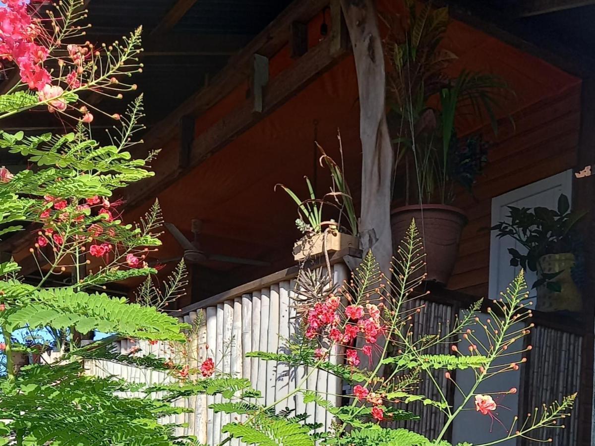 Casa Lumiere Apartman Bocas Town Kültér fotó