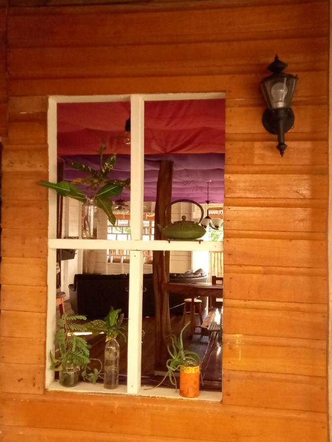Casa Lumiere Apartman Bocas Town Kültér fotó